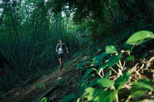 BIB: 
                            <button type="button" onclick="openModal(28124492)" class="btn btn-primary btn-sm float-right btn-popup" data-toggle="modal" data-target=".modal-high-quality">
                        <i class="fas fa-shopping-cart"></i> Add to Cart
                    </button>
                                            <button type="button" onclick="isThisMe(28124492, true)" class="btn btn-success btn-sm float-right btn-popup btn-isme hidden" data-toggle="tooltip" data-placement="bottom" title="นี่คือรูปของคุณใช่ไหม คลิกที่นี่เพื่อเอาเข้าอัลบั้ม">
                        <i class="fas fa-plus"></i> Add to album
                    </button>
                    <button type="button" onclick="isThisMe(28124492, false)" class="btn btn-warning btn-sm float-right btn-popup btn-isnotme hidden">
                        <i class="fas fa-ban"></i> Remove from album
                    </button>